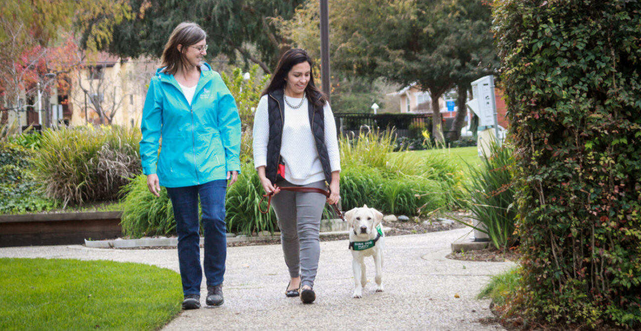 Two people walk down a garden path with a guide dog puppy.