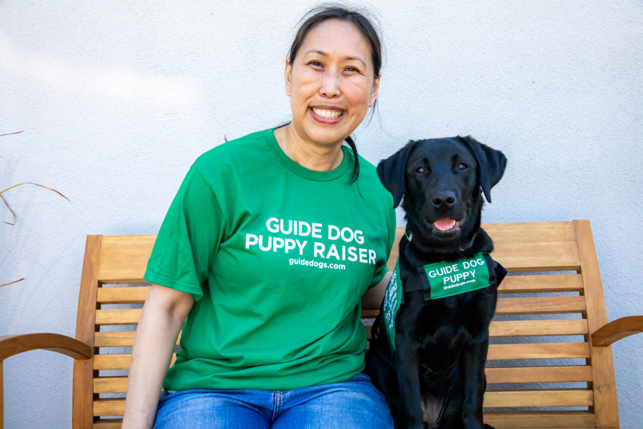 A woman sitting on a bench next to a black Lab guide dog puppy.