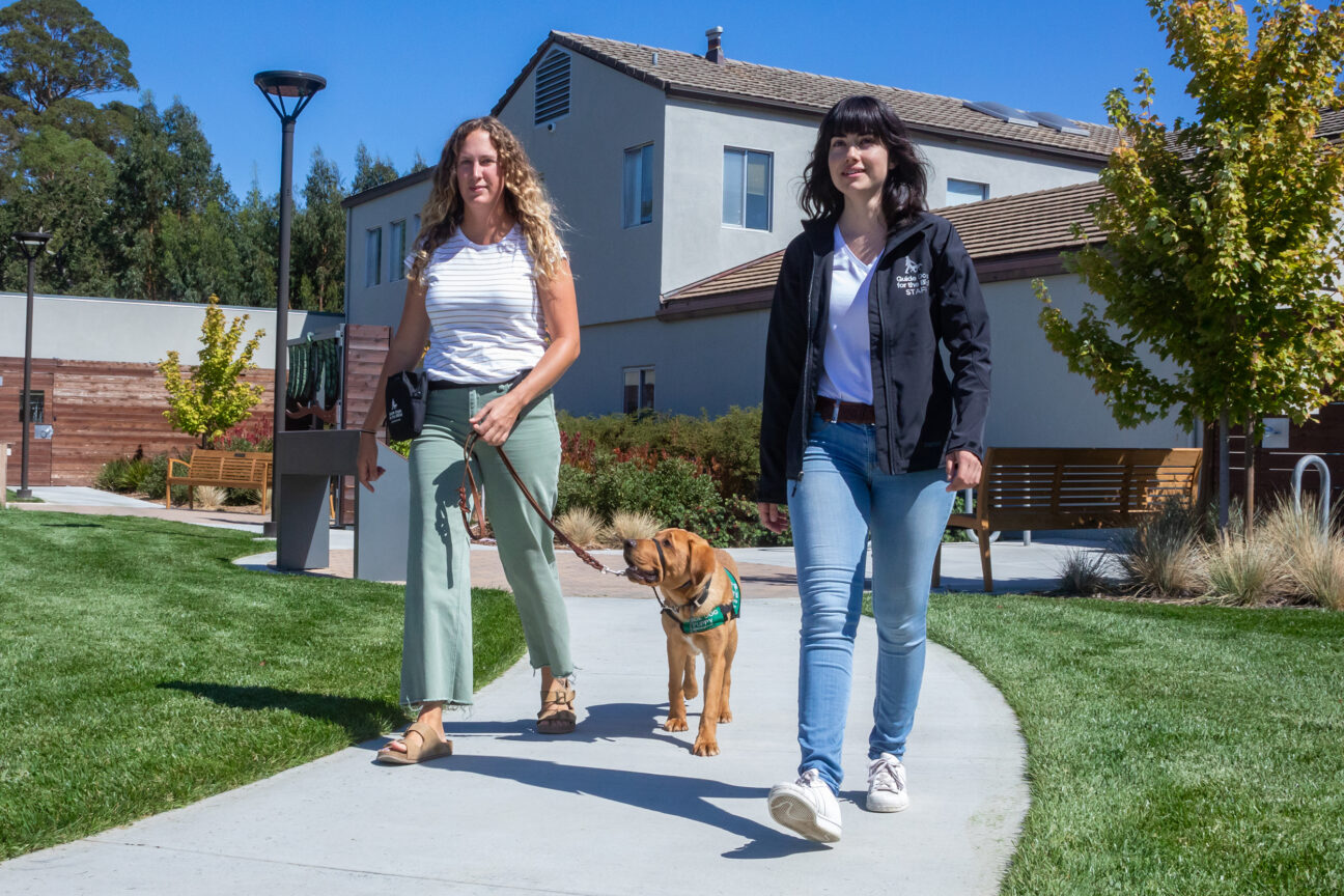 Two women walk down a path with a young guide dog puppy.