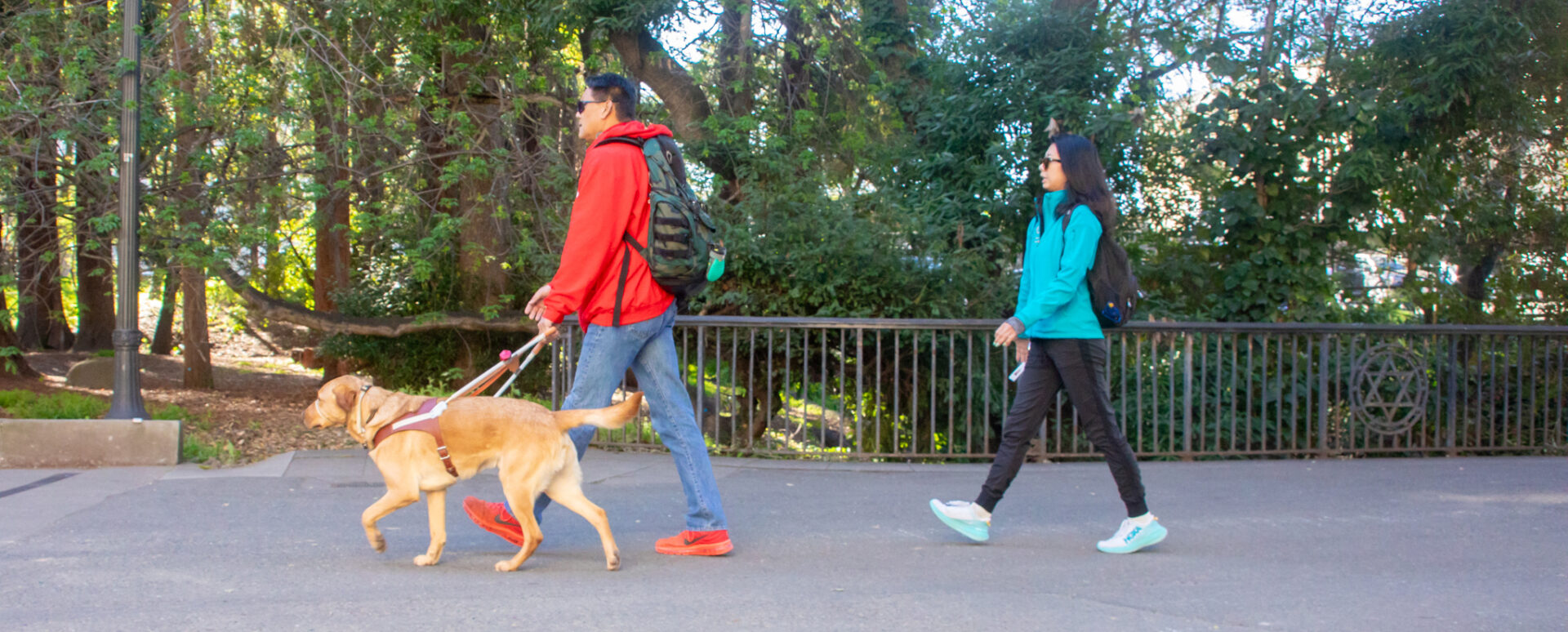A man walks with his guide dog followed by a guide dog mobility instructor.