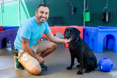 A man poses for a photo with a black Lab in a play run full of colorful structures and toys.