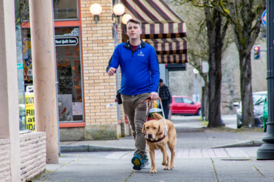A man walks with a guide dog along a quiet city sidewalk.
