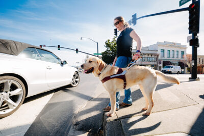 A guide dog instructor and guide dog standing at an intersection curb with a car turning the corner in front of them.