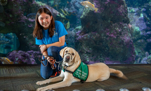 A guide dog puppy raiser and her pup pose in front of a fish tank at an aquarium.