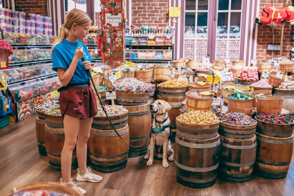 A guide dog puppy raiser and puppy explore a candy store full of colorful and overflowing barrels and bins of sweets.