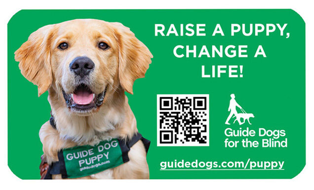 Graphic featuring a Golden Retriever guide dog puppy, QR code, GDB logo, and text that reads Raise a Puppy, Change a Life!