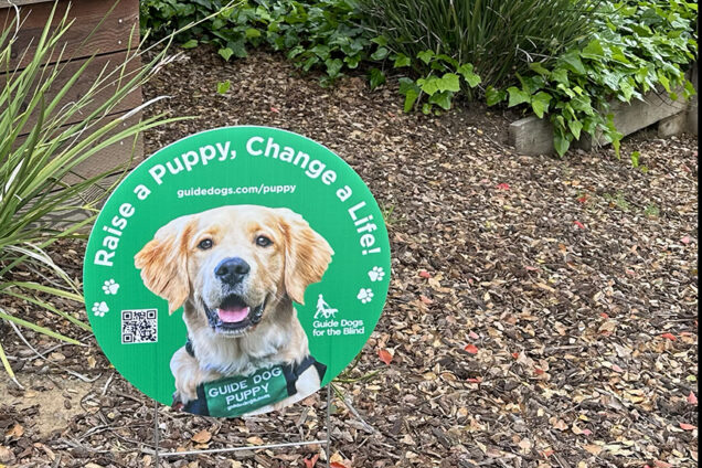 Yard sign in the shape of a circle that features a guide dog puppy and reads "Raise a Puppy, Change a Life!"