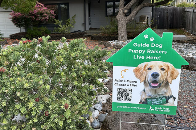 Yard sign in the shape of a house that features a guide dog puppy and reads "Guide Dog Puppy Raisers Live Here!"