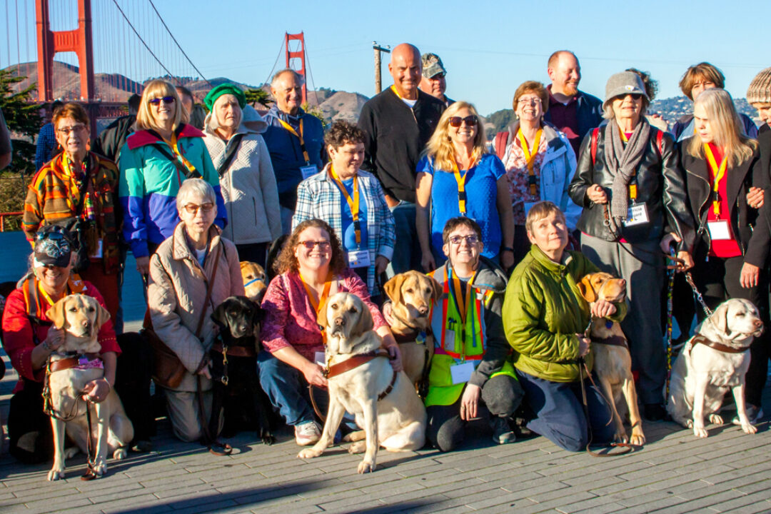 A large group of people and guide dogs in front of the Golden Gate Bridge.