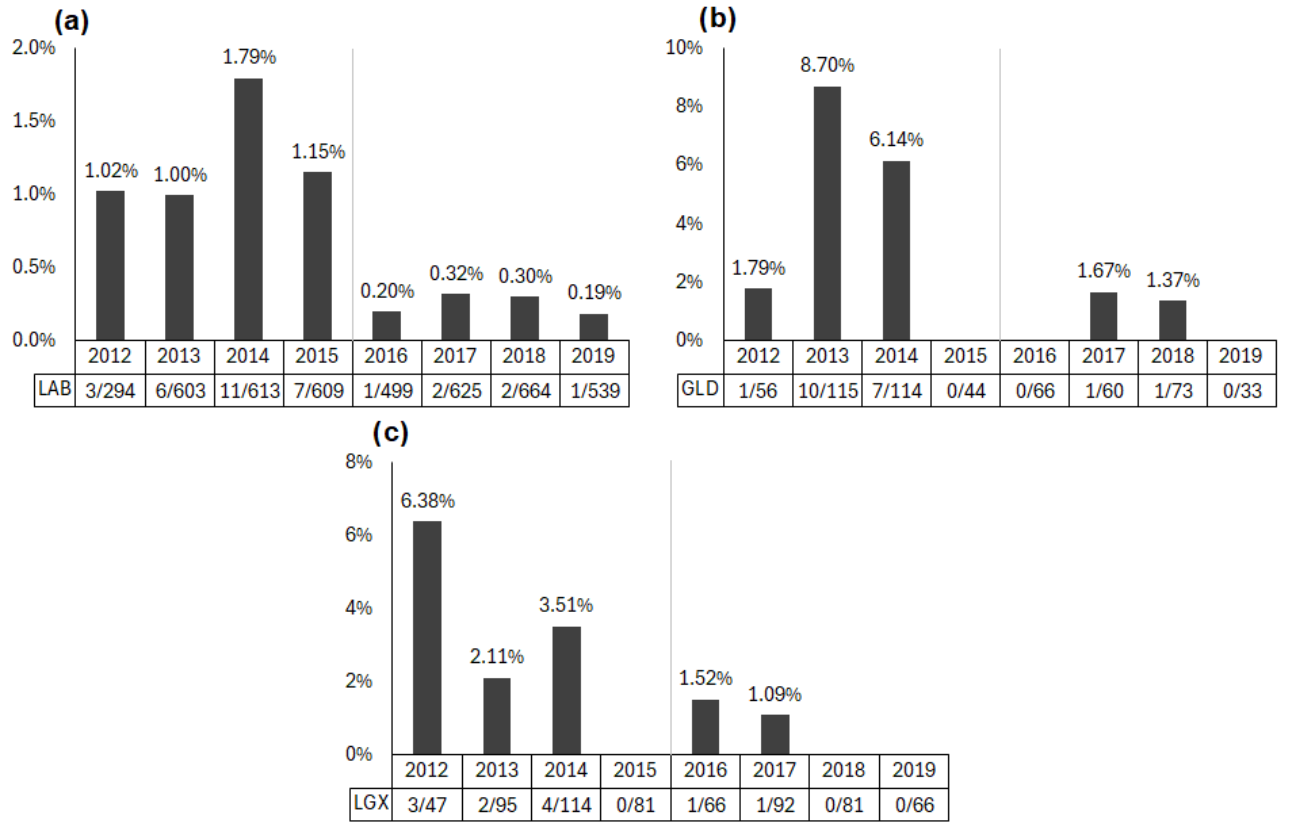 Three graphs of hip dysplasia incidence rate by dogs’ whelp year split by breed group ((a) Labrador Retriever, (b) Golden Retriever, (c) Labrador–Golden Retriever cross). A vertical line between 2015 and 2016 on each graph reflects the two treatment groups (newspaper for puppies whelped between 2012 and 2015 and fleece for puppies whelped between 2016 and 2019). Data labels below each year show the proportion of dogs diagnosed with hip dysplasia out of all dogs of that breed who were whelped that year. For all three breeds, the bars representing the incidence rate of CHD are higher in the years where newspaper was used compared to the years where fleece was used.
