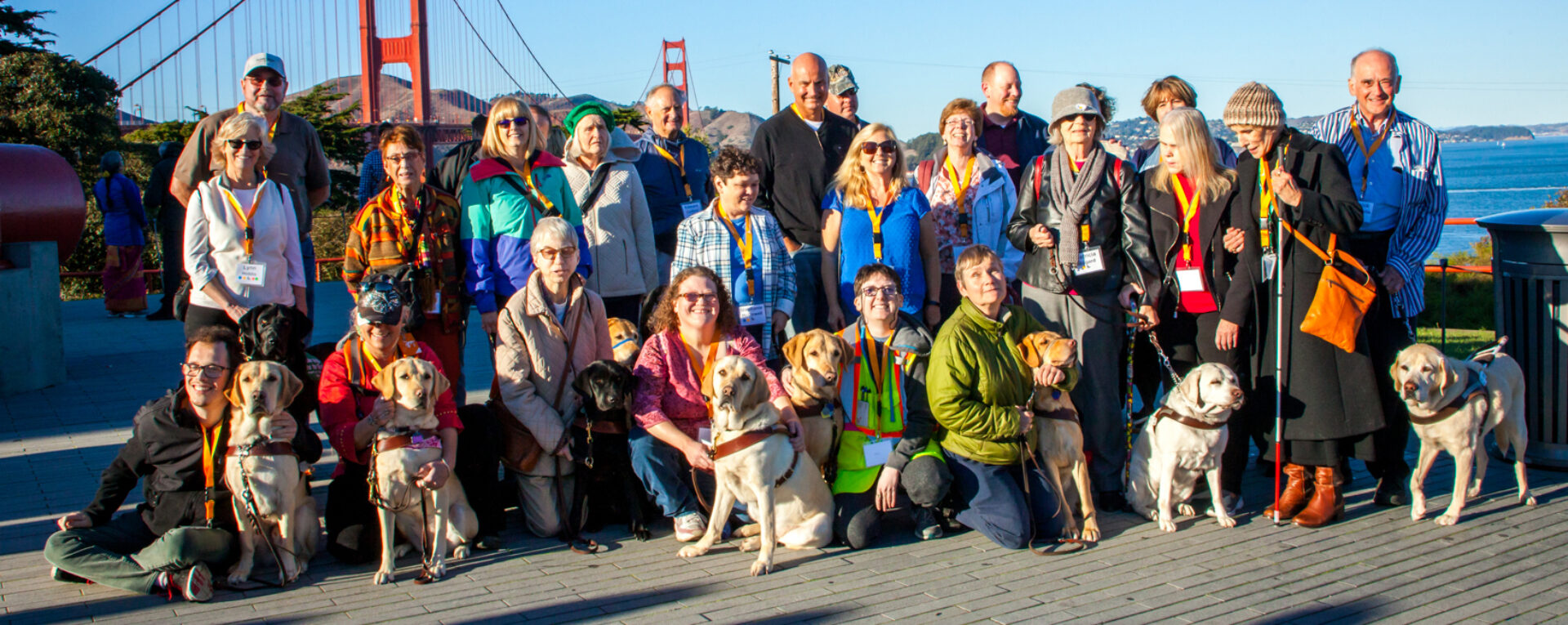 A large group of people and guide dogs in front of the Golden Gate Bridge.