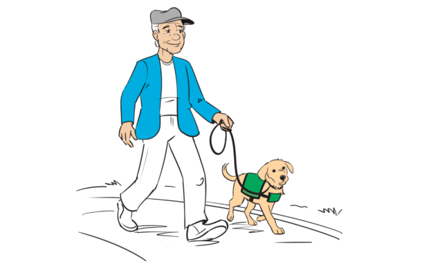 Illustration of a man walking with a guide dog puppy.