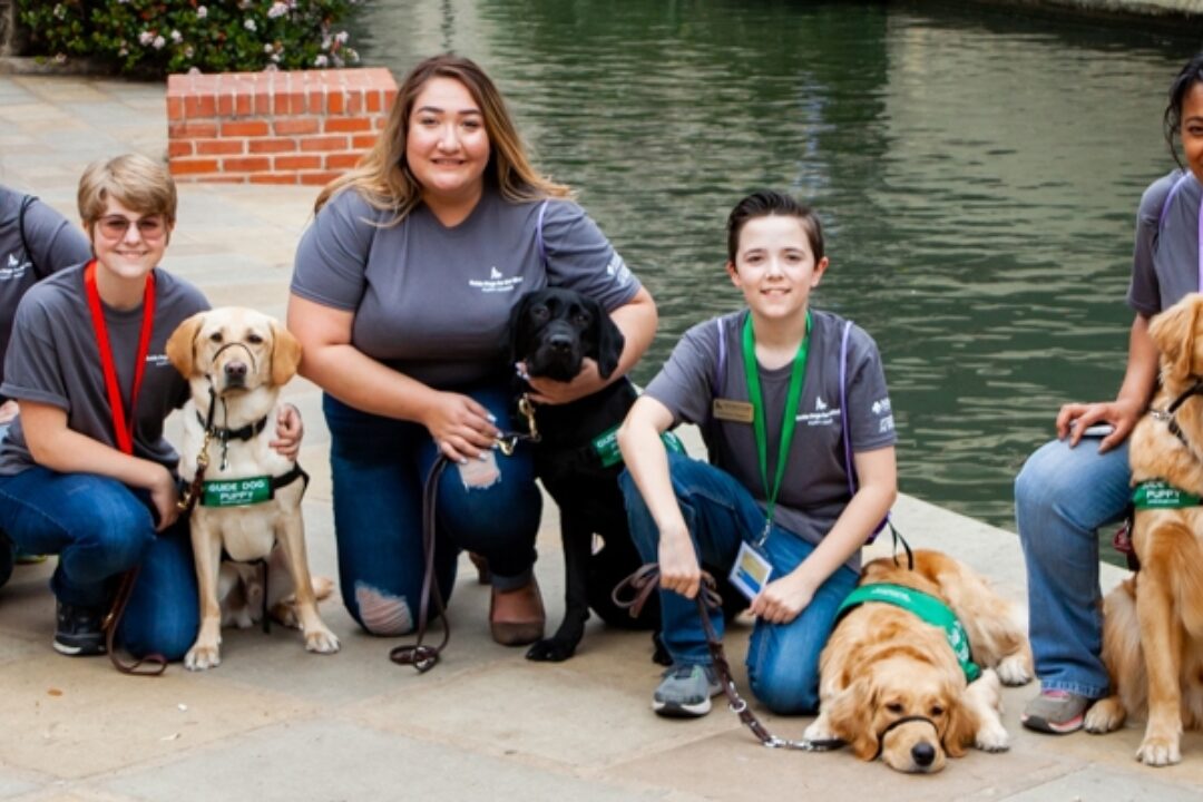 A group of six puppy raisers kneeling next to the guide dog puppies that they are raising.