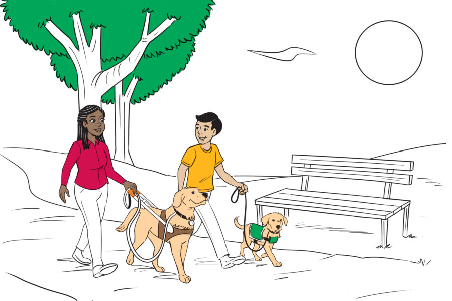 Illustration of a woman and her guide dog and a man with a guide dog puppy chatting as they stroll through a park.