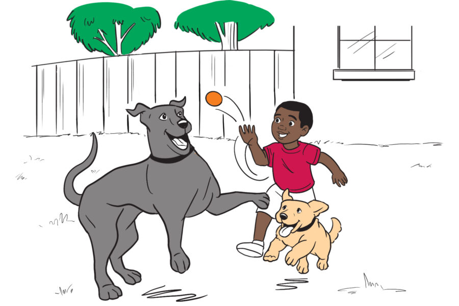 A boy plays fetch with two dogs in a fenced yard.