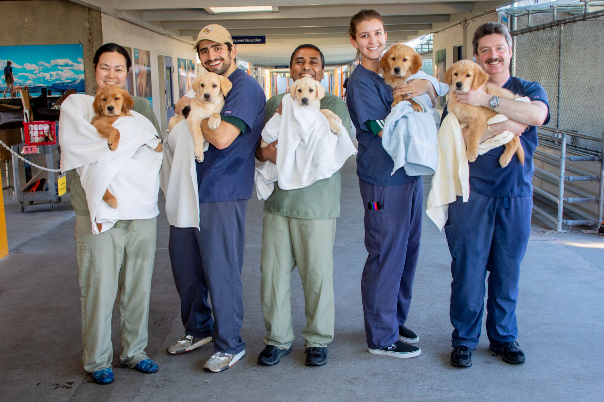 A group of People hold puppies that are fresh from the bath and wrapped in cozy towels.