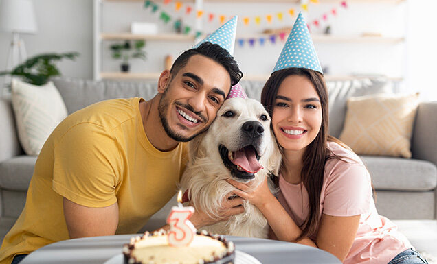 A couple wear birthday hats and pose with a dog behind a table with a birthday cake.