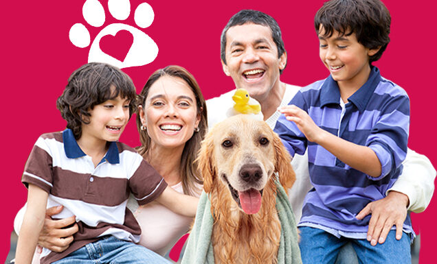 A family bathing a dog that has a rubber ducky and soap bubbles on its head