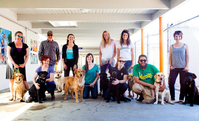 A large group of people and dogs.