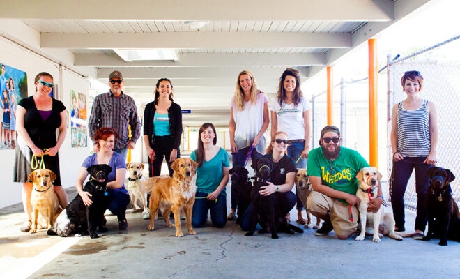A large group of people and dogs.