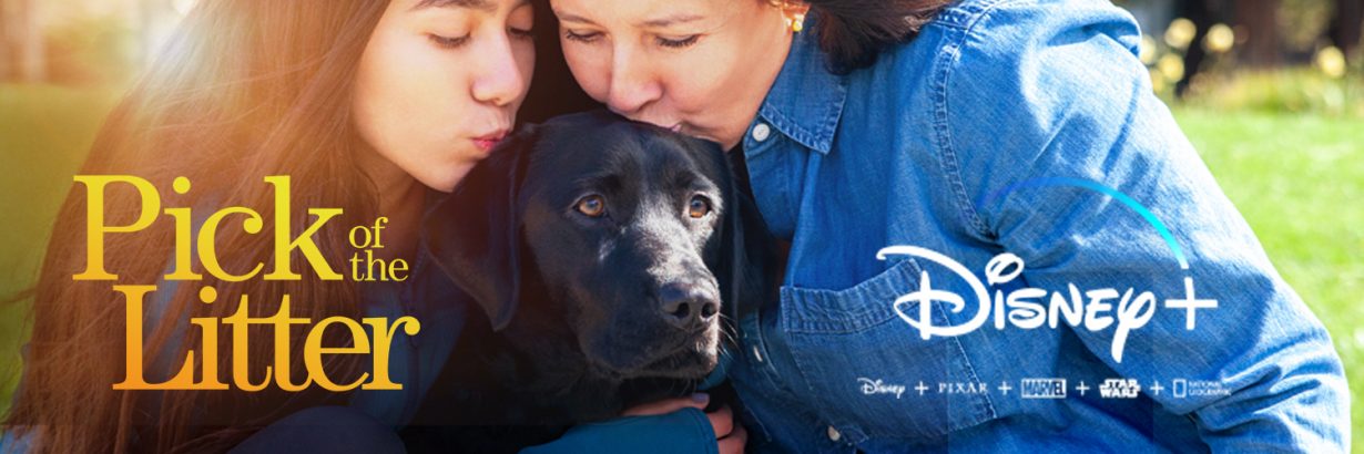 Two volunteer puppy raisers kiss the head of a black Lab guide dog. The title "Pick of the Litter" appears in the bottom left corner and the Disney Plus logo appears in the bottom right.