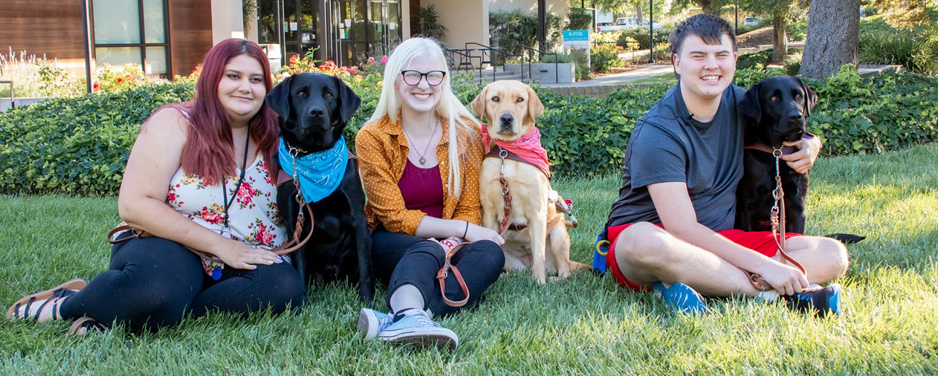 Three people with guide dogs sitting on a lawn.