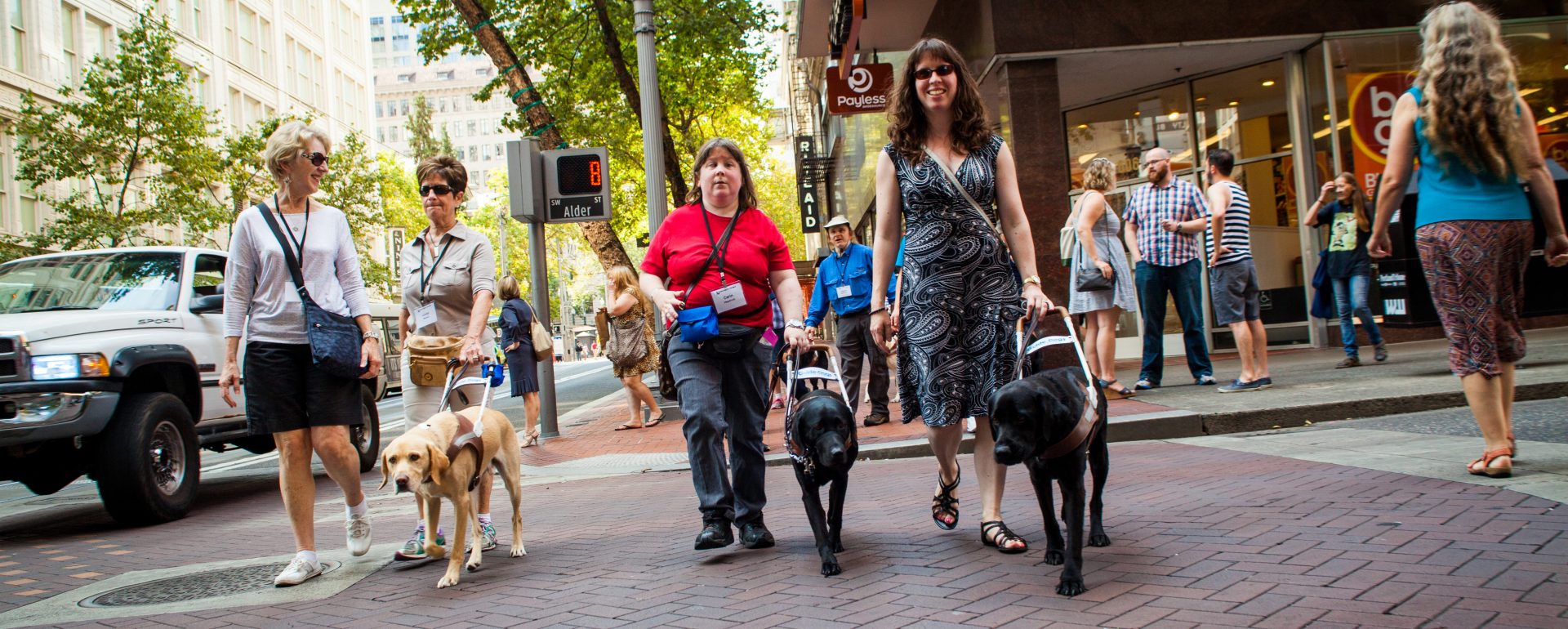 Action photo of several GDB alumni smiling while walking with their guide dogs down a street in downtown Portland