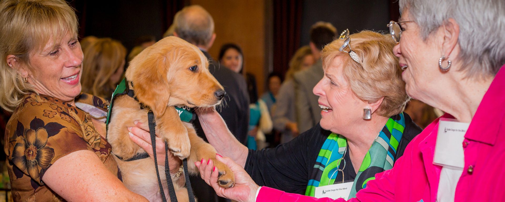 A woman smiles holding a young Golden Retriever puppy as two other women pet him