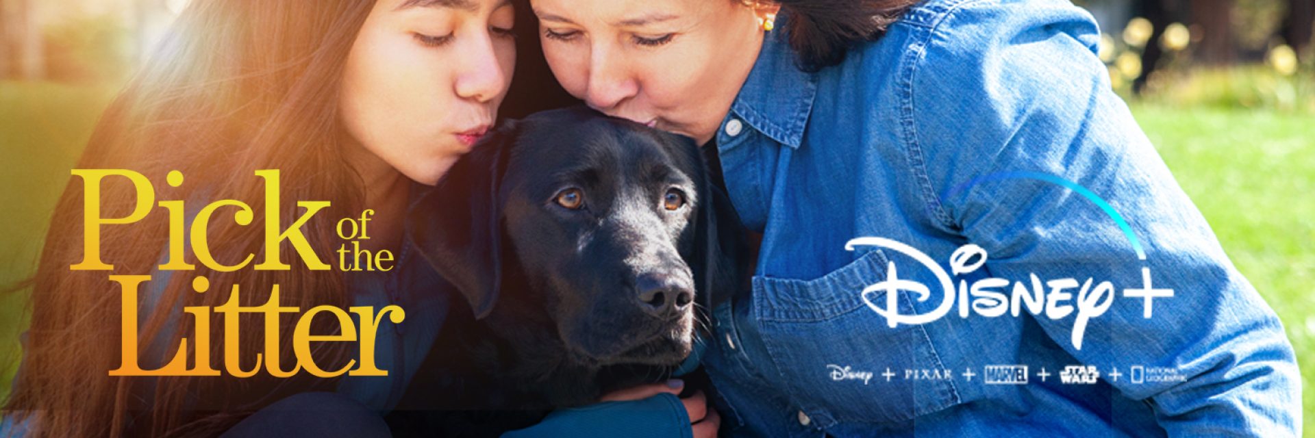Two volunteer puppy raisers kiss the head of a black Lab guide dog. The title "Pick of the Litter" appears in the bottom left corner and the Disney Plus logo appears in the bottom right.