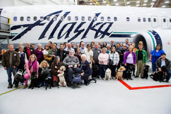 A large group of GDB puppy raisers and alumni in front of an Alaska Airlines plane.