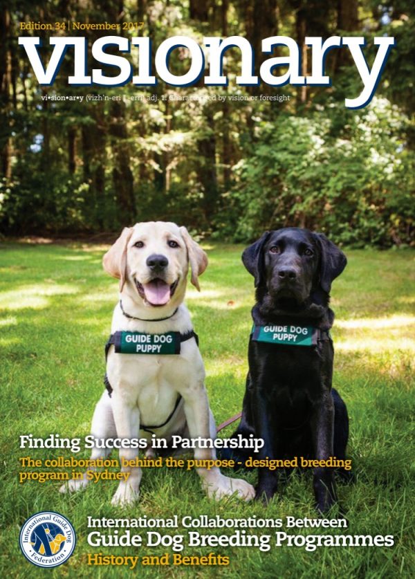 The cover of the November 2017 Visionary features two of our guide dog puppies in training. A yellow Lab and a black Lab both wearing green GDB puppy coats sit together on green grass and gaze into the camera.