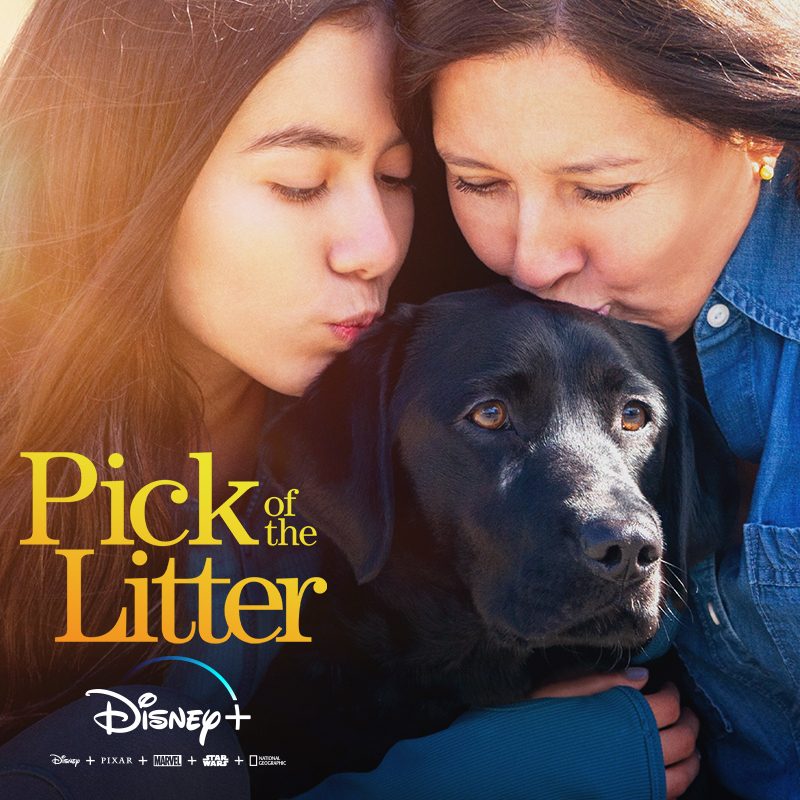 Two puppy raisers kiss the head of a black Lab guide dog. The title "Pick of the Litter" appears in the bottom left corner above the Disney Plus logo.