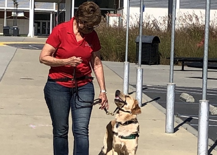 Tami works with a Guide Dog puppy